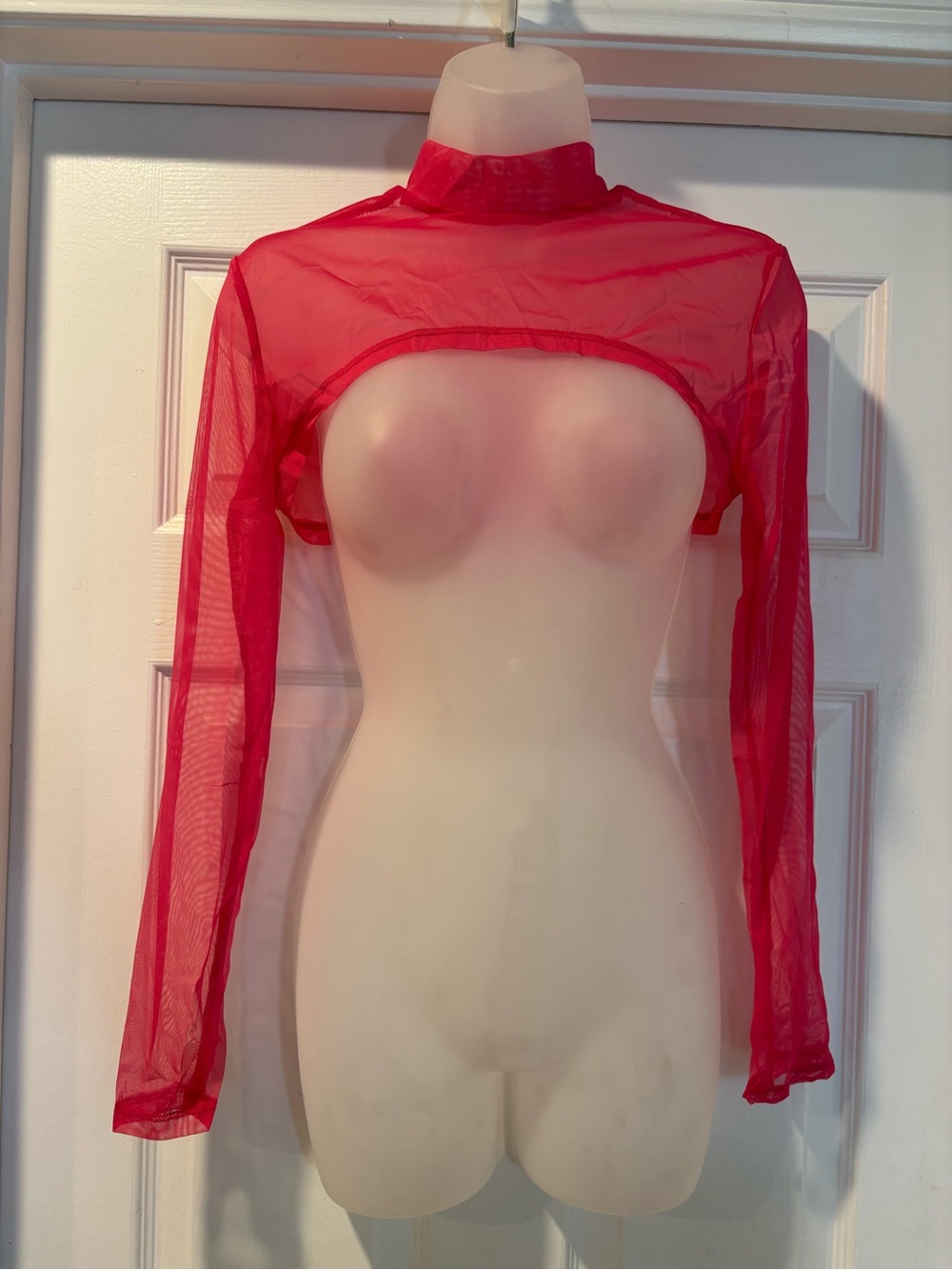 SHEIN Hot Pink or Blue Sheer Mesh Long Sleeve Crop Top